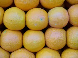 Encuentra las mejores cuñas de esparto en color naranja en nuestra tienda online
